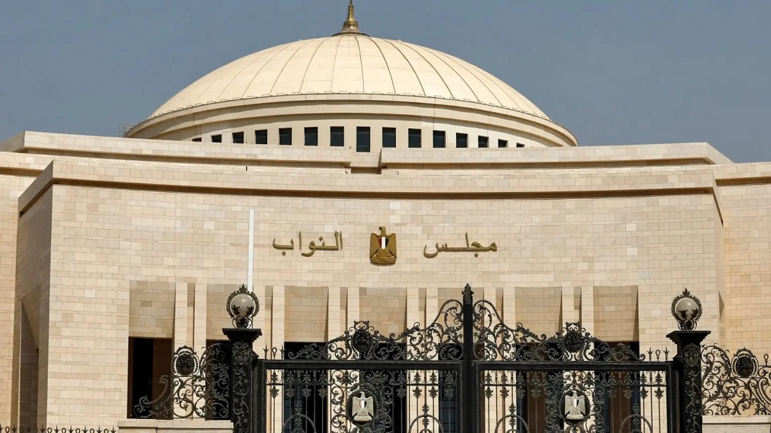 5 نصائح لك وحدك سيادة النائب